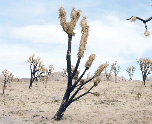 HUH46833 03396 juror