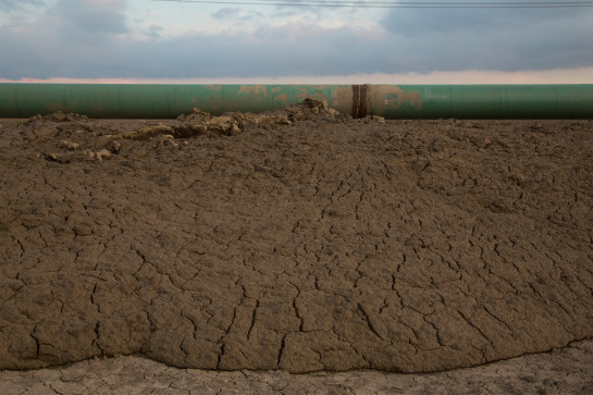 FEA49255 83878 juror