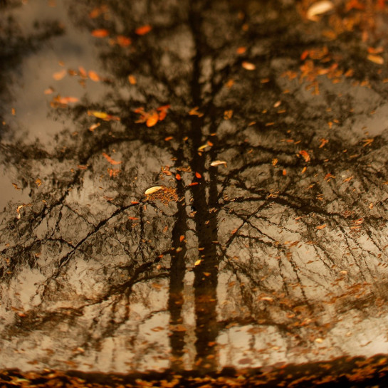 Ashmore_Richard_2Adrift