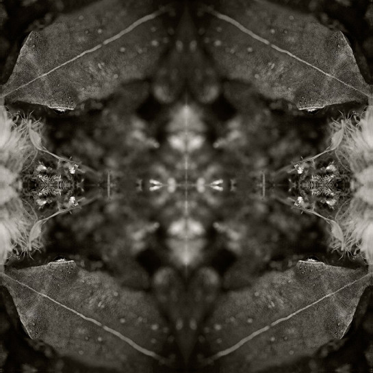 Ruesing_Joseph_5Shamans-Song-of-Most-Ancient-Watery-Beginnings