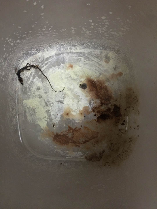 DRI93486_37177-Envira gallery