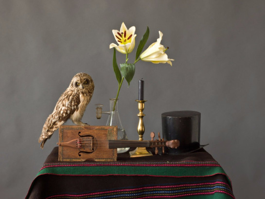 Snider_Larry_2Untitled2185