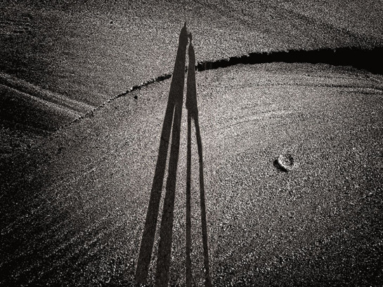 ALB54019_06028 for web