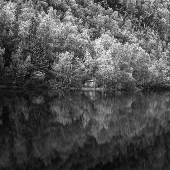 LAN46981 90332 juror