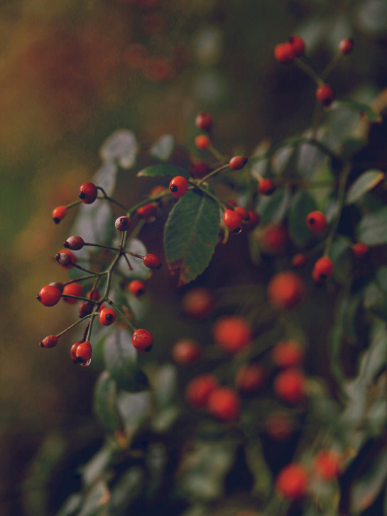 MAG47642 33545 juror