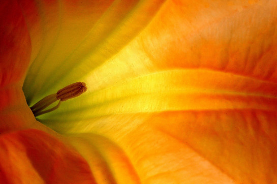 STO84593 34724 juror