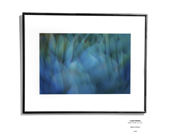 Botanical2302 Installation01