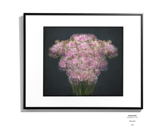 Botanical2302 Installation08