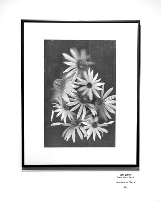 Botanical2302 Installation13