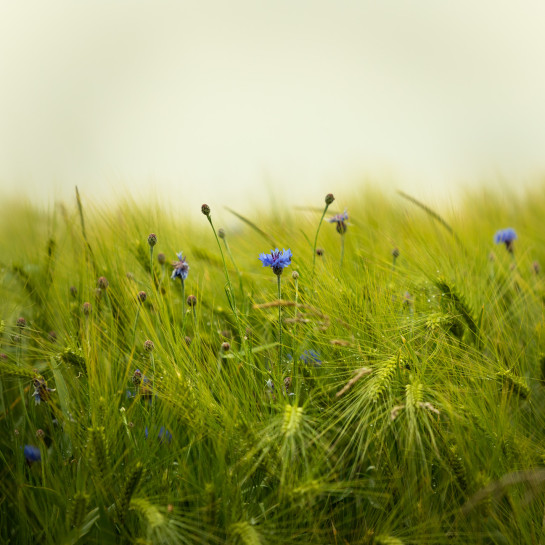 GLI30325 17412 juror