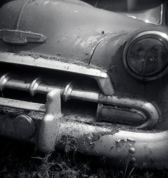 Ringler_Dorothy-Beck___52__