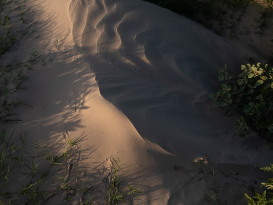 BRE70879 68052 juror