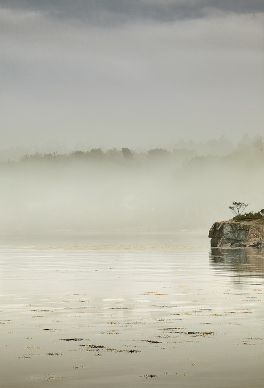 BUR53939 50933 juror