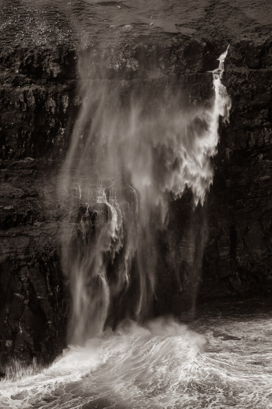 BUS50396 25426 juror