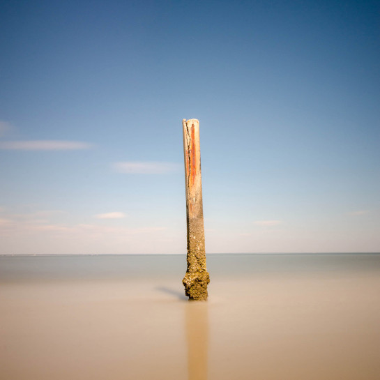 CAR37188 68177 juror