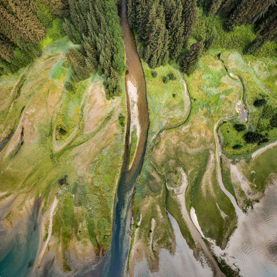 EHL71586 55392 juror