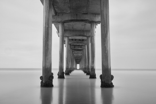 FRE12037 50249 juror