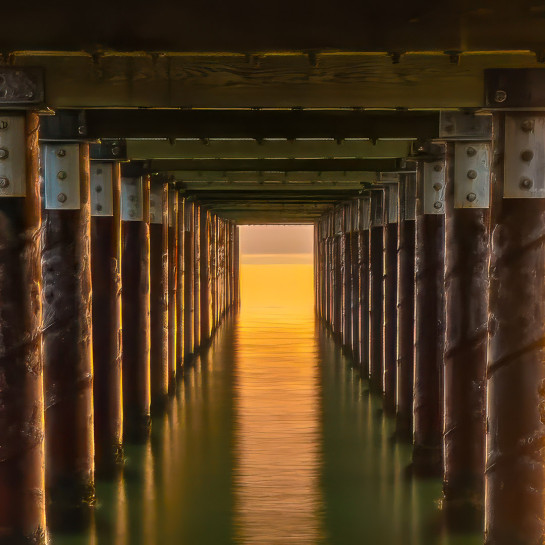 GEL33768 19401 juror