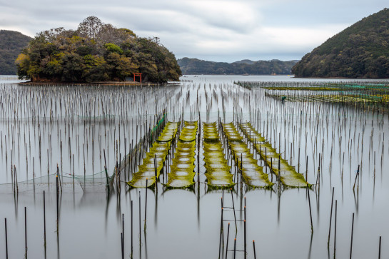 HAR21522 03091 juror