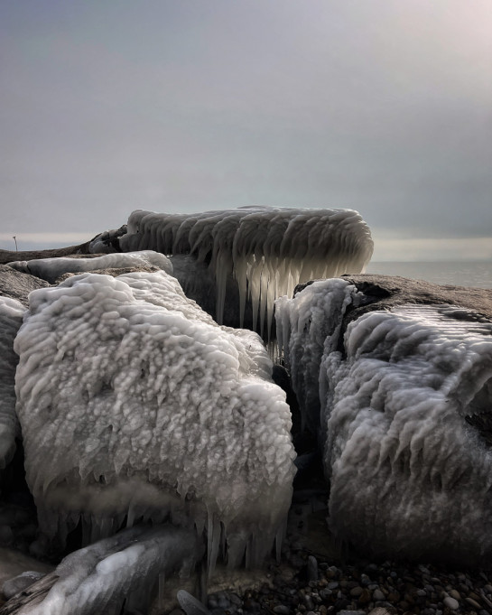 MCF88182 05728 juror