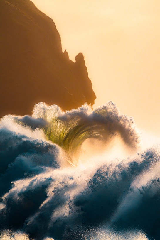 NEG20788 41454 juror