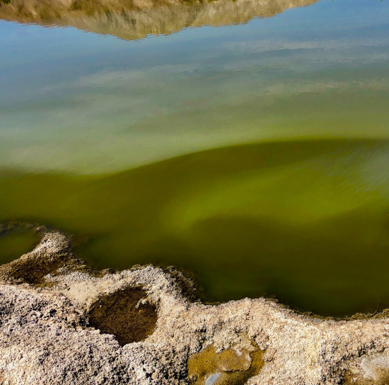 POR24789 35005 juror