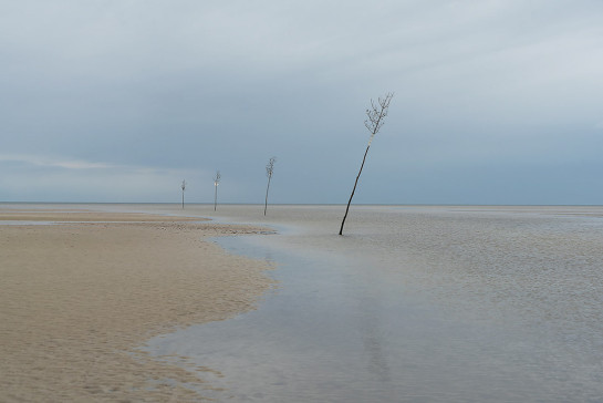 SLO38459 48431 juror