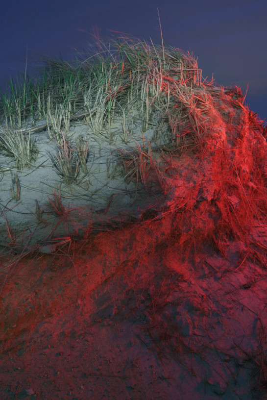 SMU76679 13029 juror