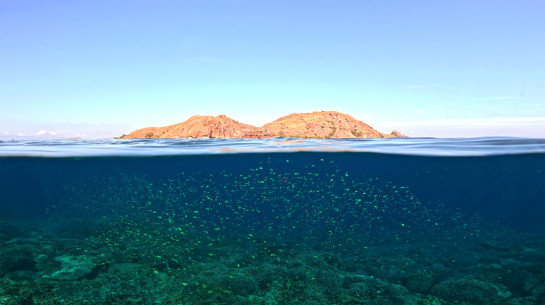 SUL91984 20895 juror