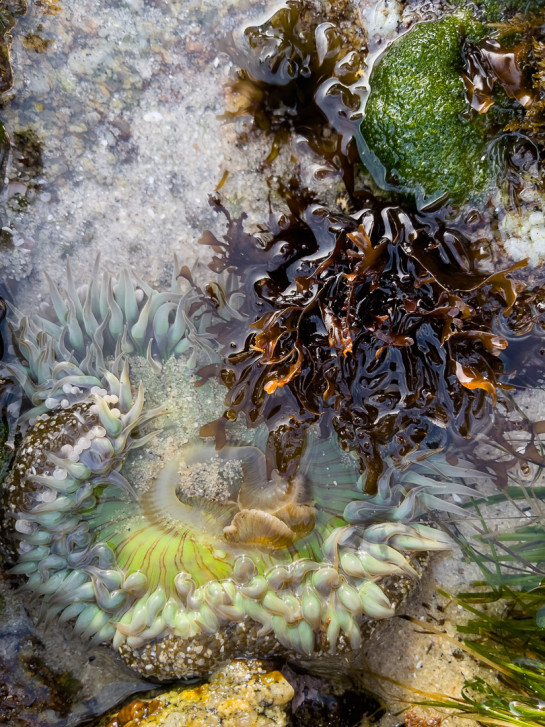 WIS68896 10314 juror