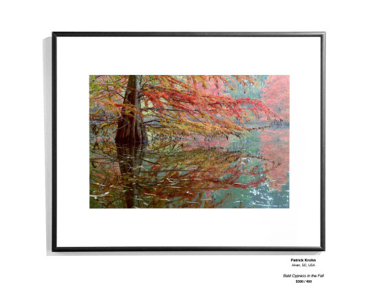 Color InstallationGallery15