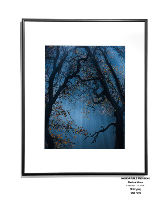 Color InstallationGallery16