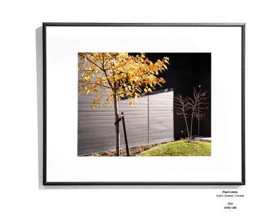 Color InstallationGallery17