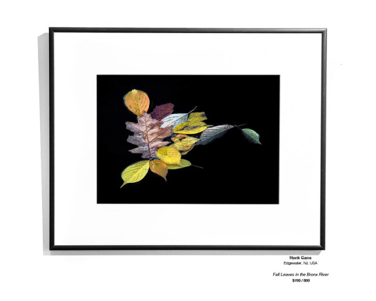 Color InstallationGallery18