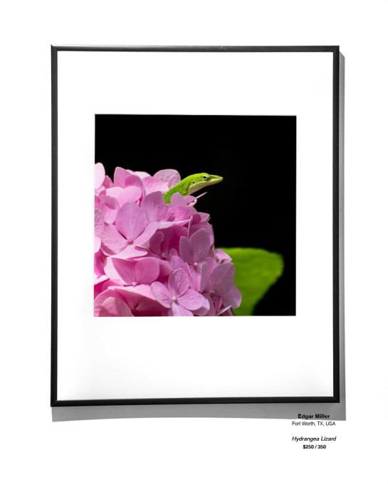 Color InstallationGallery30