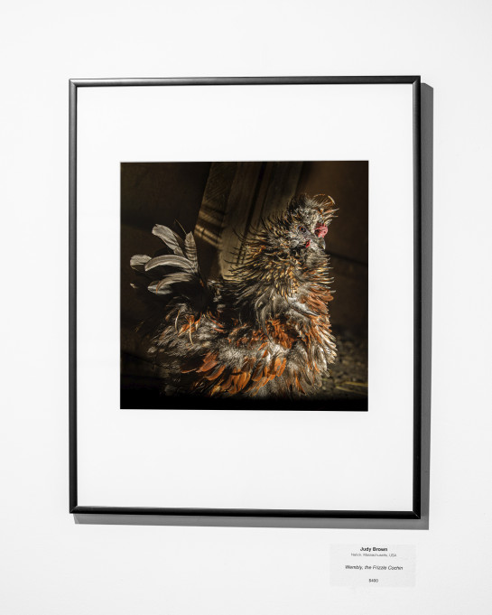 Color2021 Installation34