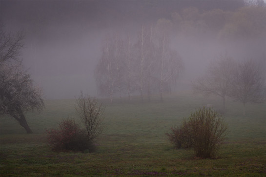 TUD73978 28914 juror