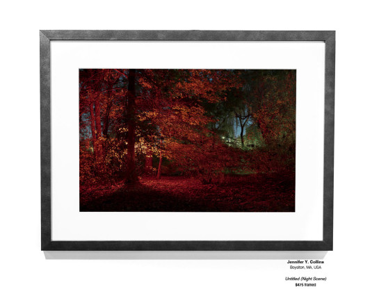 Dreams Installation 05