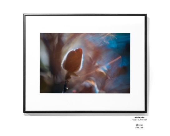 Dreams Installation 07