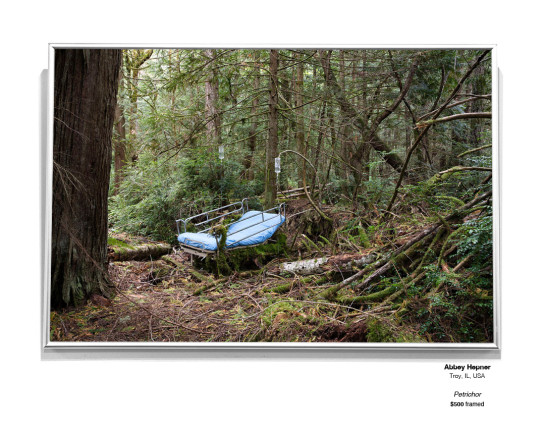 Dreams Installation 08