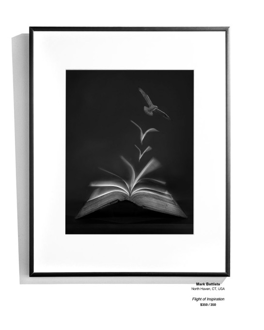 Dreams Installation 21