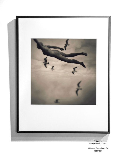 Dreams Installation 28