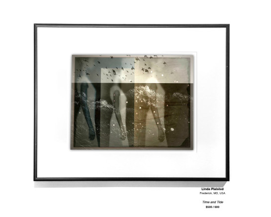 Dreams Installation 29