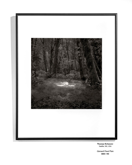 Dreams Installation 35