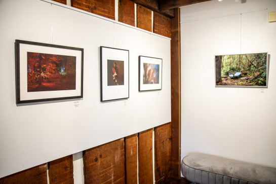 Dreams Installation 39