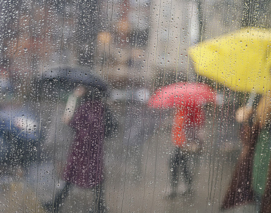 BAC03991 65171 juror