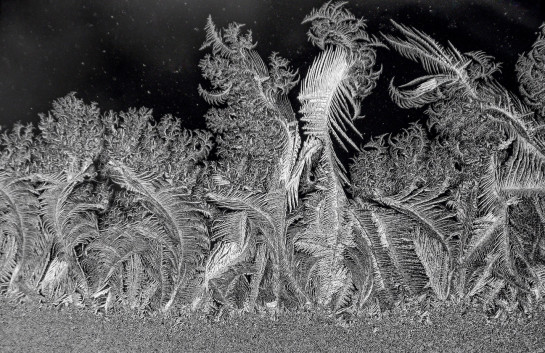 WAC38966 91194 juror