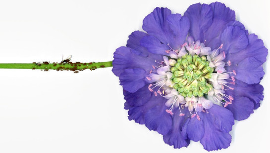 Rouse_Sabrina_1The_Family