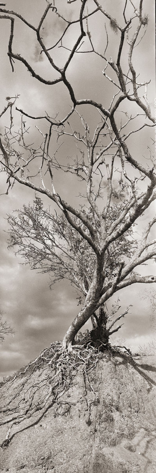 ATW20909_48932- website