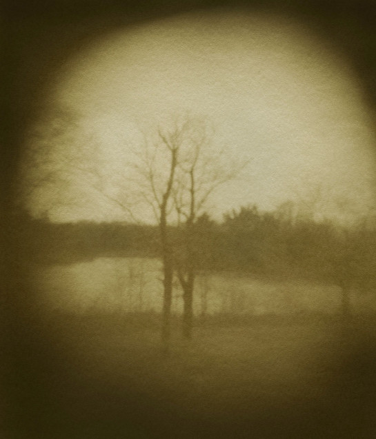 AYU97524_15916- website